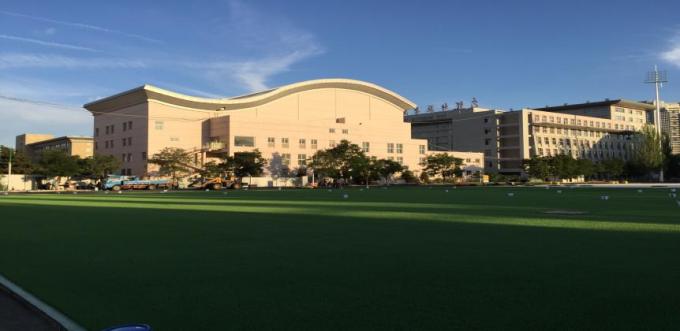 Gesponnener Schutzträger-Fußball-Rasen bedecken Aritificial für Fußballplatz mit Gras 0