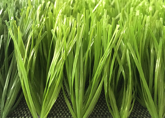 CHINA 50mm doppeltes Spined Fußball PET materielles künstliches Gras-zweifarbige ausgezeichnete Stellung Matte Appearance fournisseur
