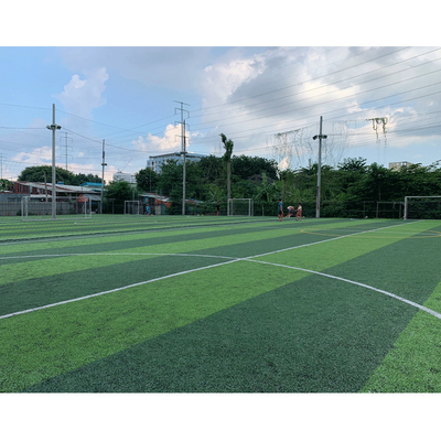 CHINA Futsal Teppich des SGS-Grün-synthetischen Rasens für Fußballplatz fournisseur