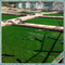 20mm C formen künstlicher grüner Garten-synthetischer Rasen-künstliches Gras Cesped fournisseur