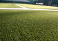 Monofil PET Garn-Hockey-dekoratives gefälschtes Gras legen 220 s-/mstich 6600 Dtex mit Teppich aus fournisseur
