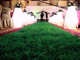Künstliche Rasen-Innenfreizeit-weiches antibakterielles dauerhaftes synthetisches Gras fournisseur