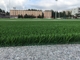 Gesponnener Schutzträger-Fußball-Rasen bedecken Aritificial für Fußballplatz mit Gras fournisseur